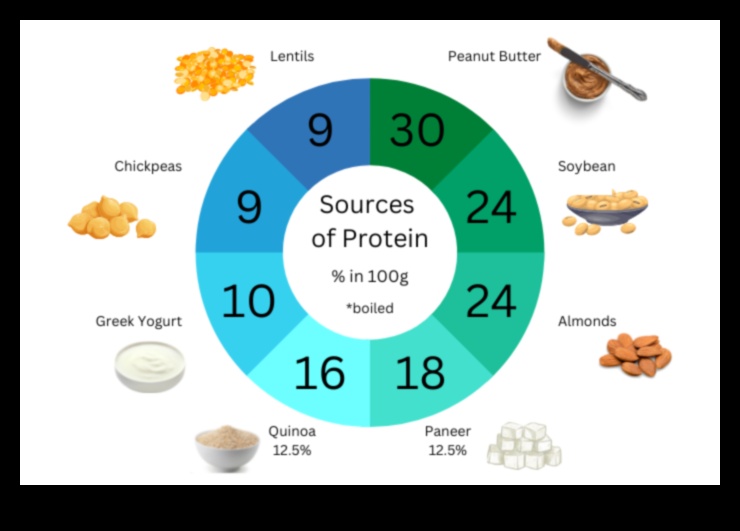 Δίαιτες υψηλής περιεκτικότητας σε πρωτεΐνες για χορτοφάγους: Πηγές πρωτεΐνης με φυτική ενέργεια