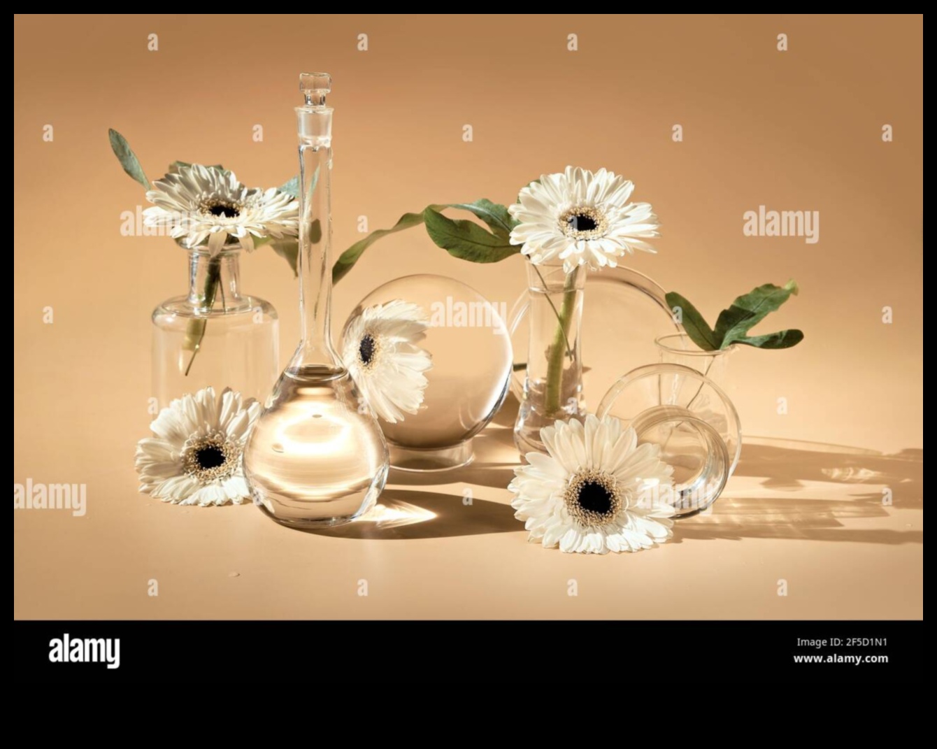 Reflections in Glass: Still Life with Transparent Elements