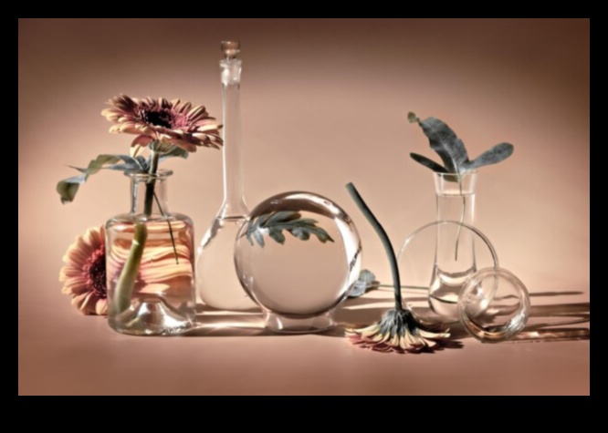 Reflections in Glass: Still Life with Transparent Elements