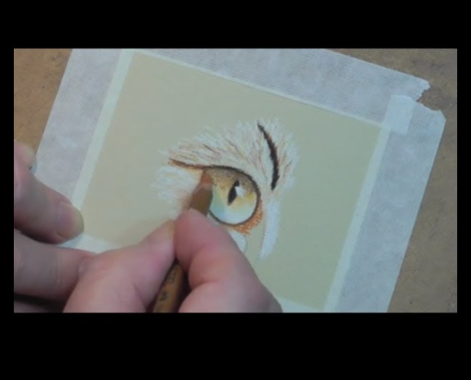 Σχέδιο με παστέλ μολύβια: Τεχνικές για λεπτές λεπτομέρειες