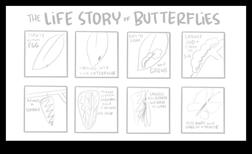 Ιστορίες σχεδίασης: Δημιουργία αφήγησης μέσω εικονογραφήσεων