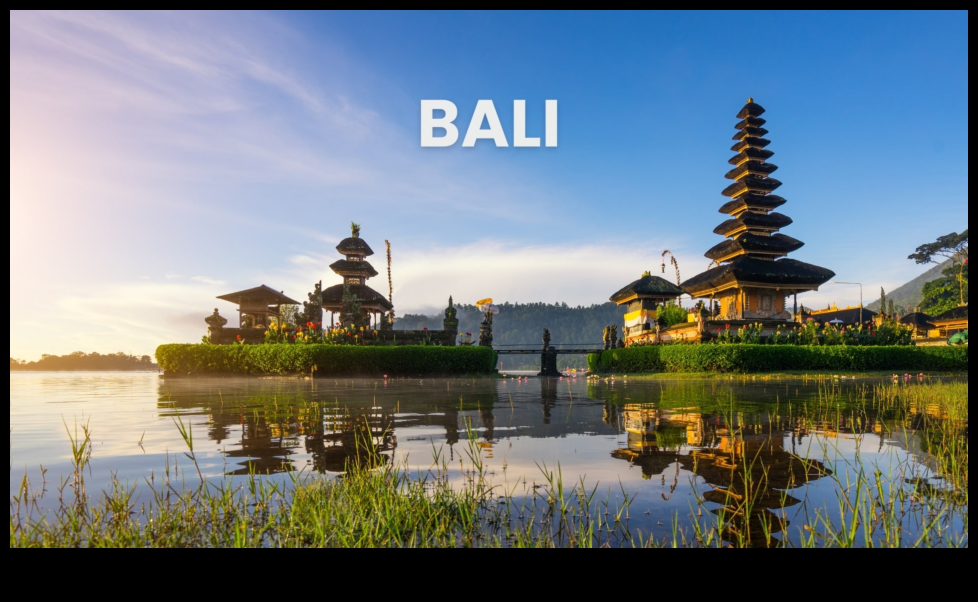 Vegan Bliss A Plant-Powered Journey to Flavorful Delights 2 Vegan Bliss: Ανυψώστε τον ουρανίσκο σας με θαύματα που τροφοδοτούνται από φυτά