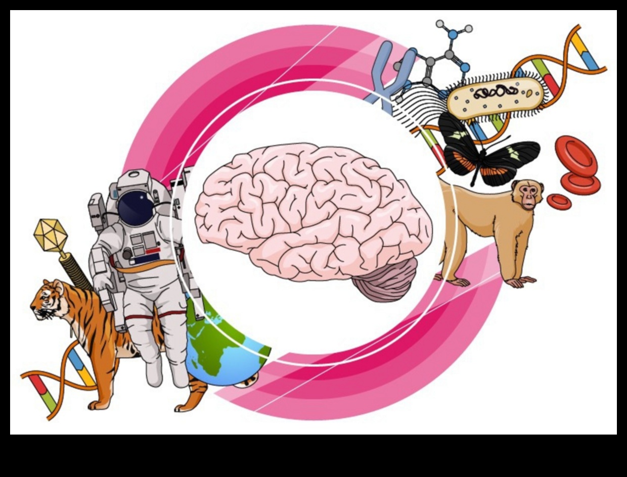 Ακρίβεια στην πράξη: Μεταφορά ιδεών μέσω επιστημονικής απεικόνισης