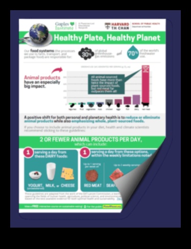 Βιώσιμη διαβίωση: Πώς οι μακροχρόνιες δίαιτες ευθυγραμμίζονται με τις πράσινες επιλογές