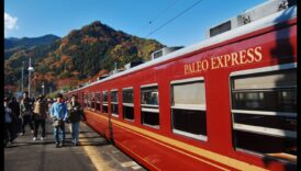 Συμβουλές ταξιδιού φιλικές προς το Παλαιό: Μένοντας σε καλό δρόμο μακριά από το σπίτι