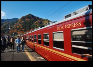 Συμβουλές ταξιδιού φιλικές προς το Παλαιό: Μένοντας σε καλό δρόμο μακριά από το σπίτι