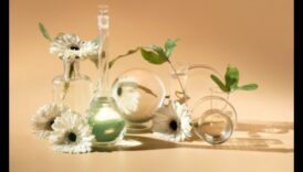 Reflections in Glass: Still Life with Transparent Elements