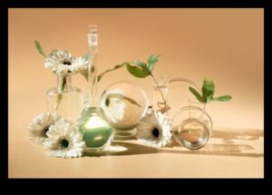 Reflections in Glass: Still Life with Transparent Elements